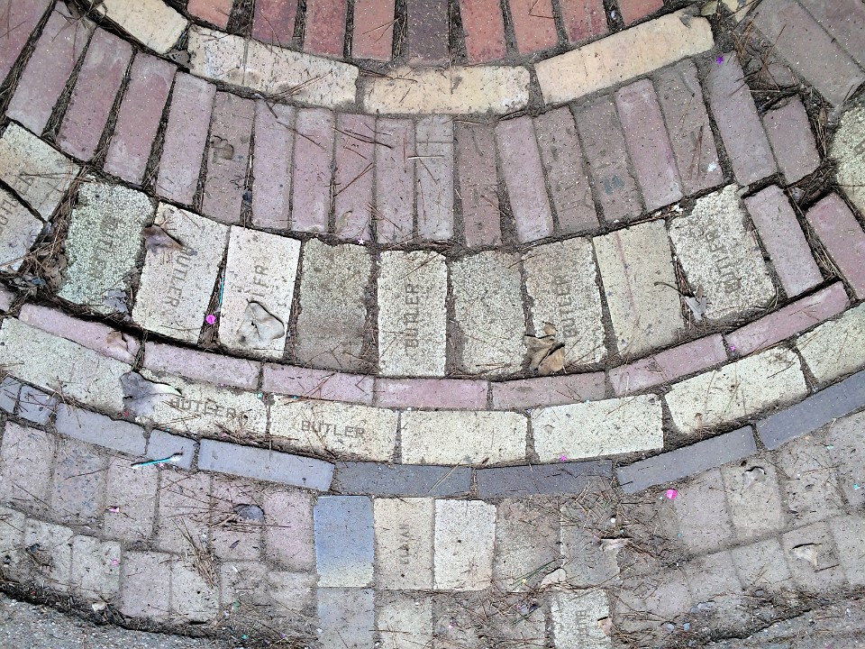 20141116 190